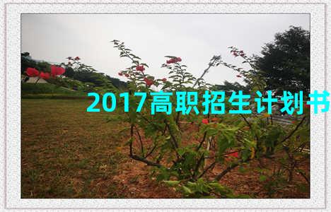 2017高职招生计划书