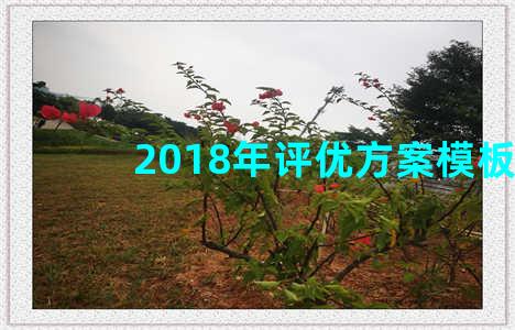 2018年评优方案模板