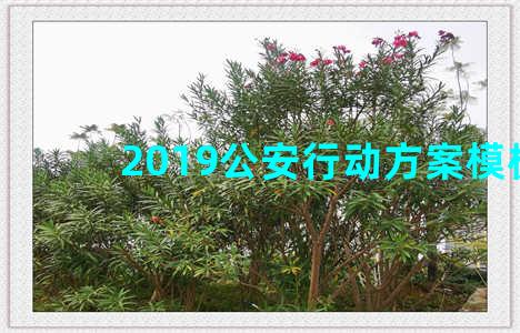 2019公安行动方案模板