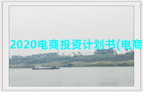 2020电商投资计划书(电商投资方案)