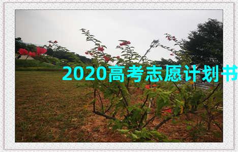 2020高考志愿计划书