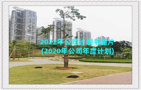 2022年公司计划书图片(2020年公司年度计划)