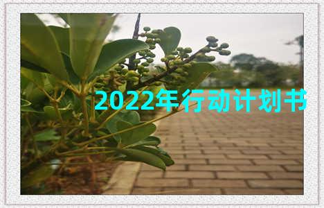 2022年行动计划书