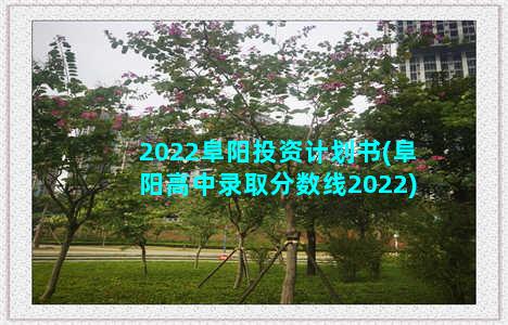 2022阜阳投资计划书(阜阳高中录取分数线2022)