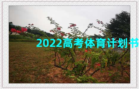 2022高考体育计划书