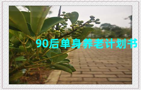 90后单身养老计划书