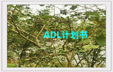 ADL计划书