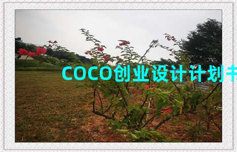 COCO创业设计计划书