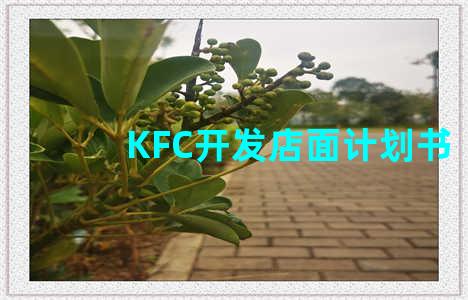 KFC开发店面计划书