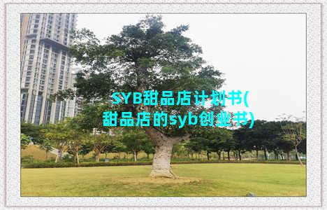 SYB甜品店计划书(甜品店的syb创业书)