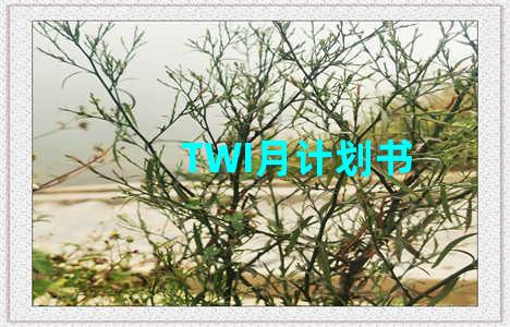 TWI月计划书