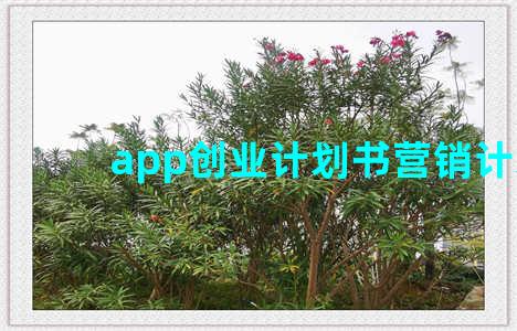 app创业计划书营销计划