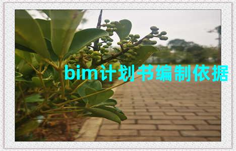 bim计划书编制依据