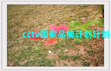 cctv国家品牌计划计划书