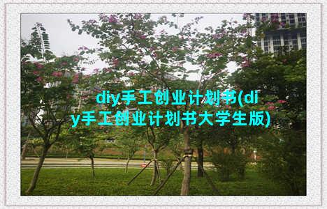 diy手工创业计划书(diy手工创业计划书大学生版)