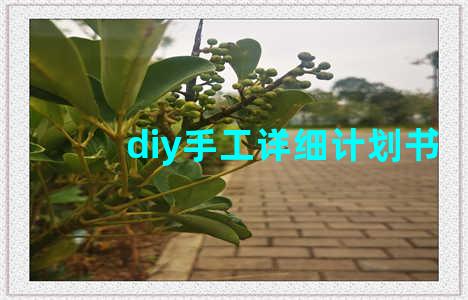 diy手工详细计划书