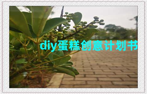 diy蛋糕创意计划书