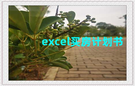 excel买房计划书