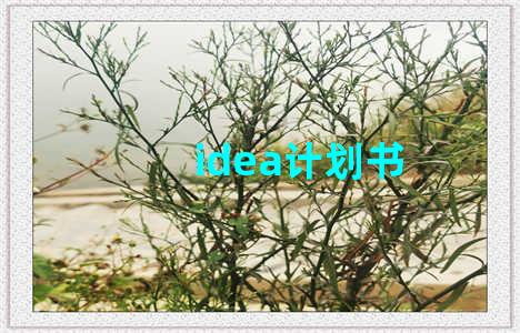 idea计划书