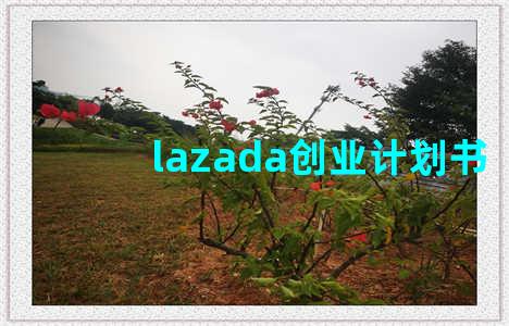 lazada创业计划书