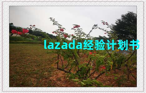 lazada经验计划书