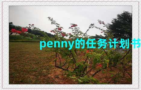 penny的任务计划书