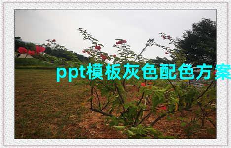 ppt模板灰色配色方案