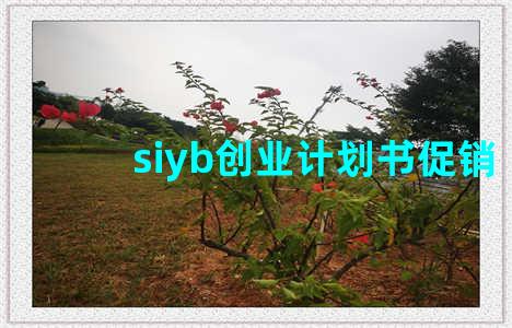 siyb创业计划书促销