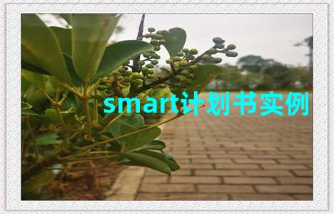 smart计划书实例