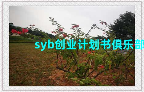 syb创业计划书俱乐部