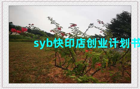 syb快印店创业计划书