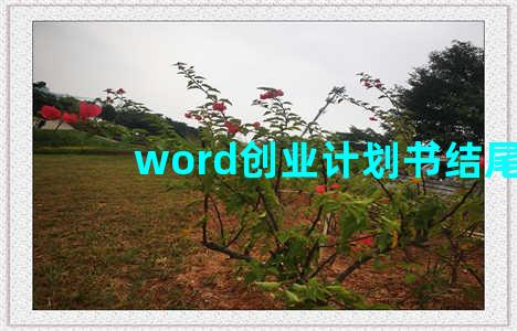 word创业计划书结尾