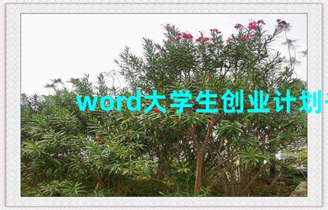 word大学生创业计划书