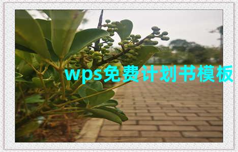 wps免费计划书模板