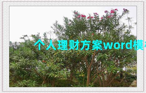 个人理财方案word模板