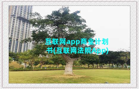 互联网app商业计划书(互联网法院App)