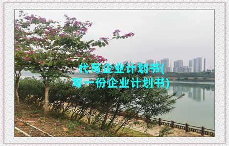 代写企业计划书(写一份企业计划书)