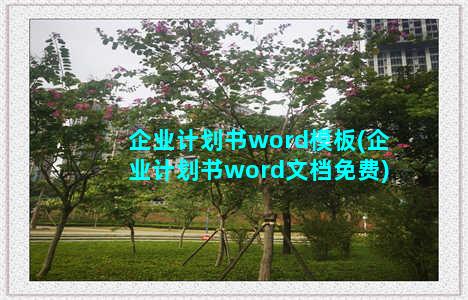 企业计划书word模板(企业计划书word文档免费)