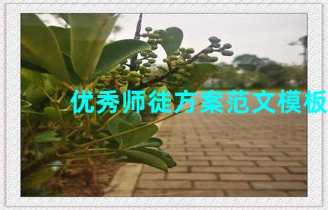 优秀师徒方案范文模板