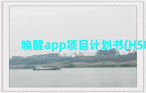 唤醒app项目计划书(H5唤醒APP)