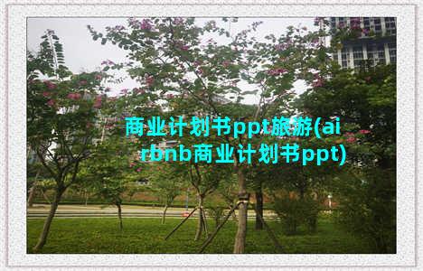 商业计划书ppt旅游(airbnb商业计划书ppt)