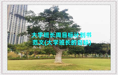 大学班长周目标计划书范文(大学班长的目标)