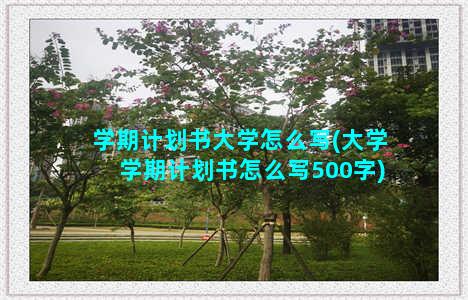 学期计划书大学怎么写(大学学期计划书怎么写500字)