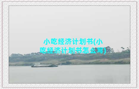 小吃经济计划书(小吃经济计划书怎么写)