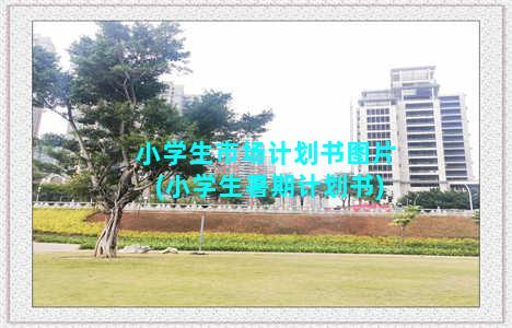 小学生市场计划书图片(小学生暑期计划书)