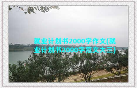 就业计划书2000字作文(就业计划书2000字范文大三)