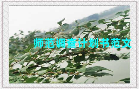 师范调查计划书范文