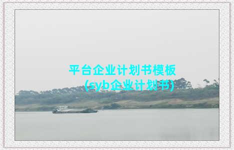 平台企业计划书模板(syb企业计划书)