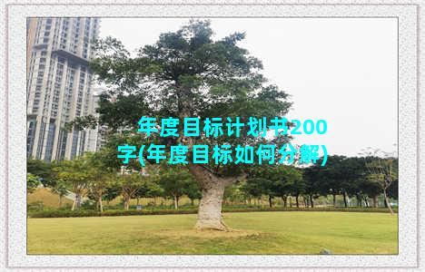 年度目标计划书200字(年度目标如何分解)