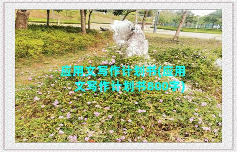 应用文写作计划书(应用文写作计划书800字)